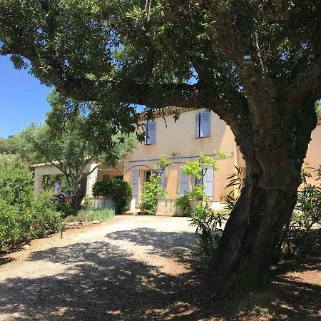 Le Mas Amore Bed & Breakfast Gassin Bagian luar foto