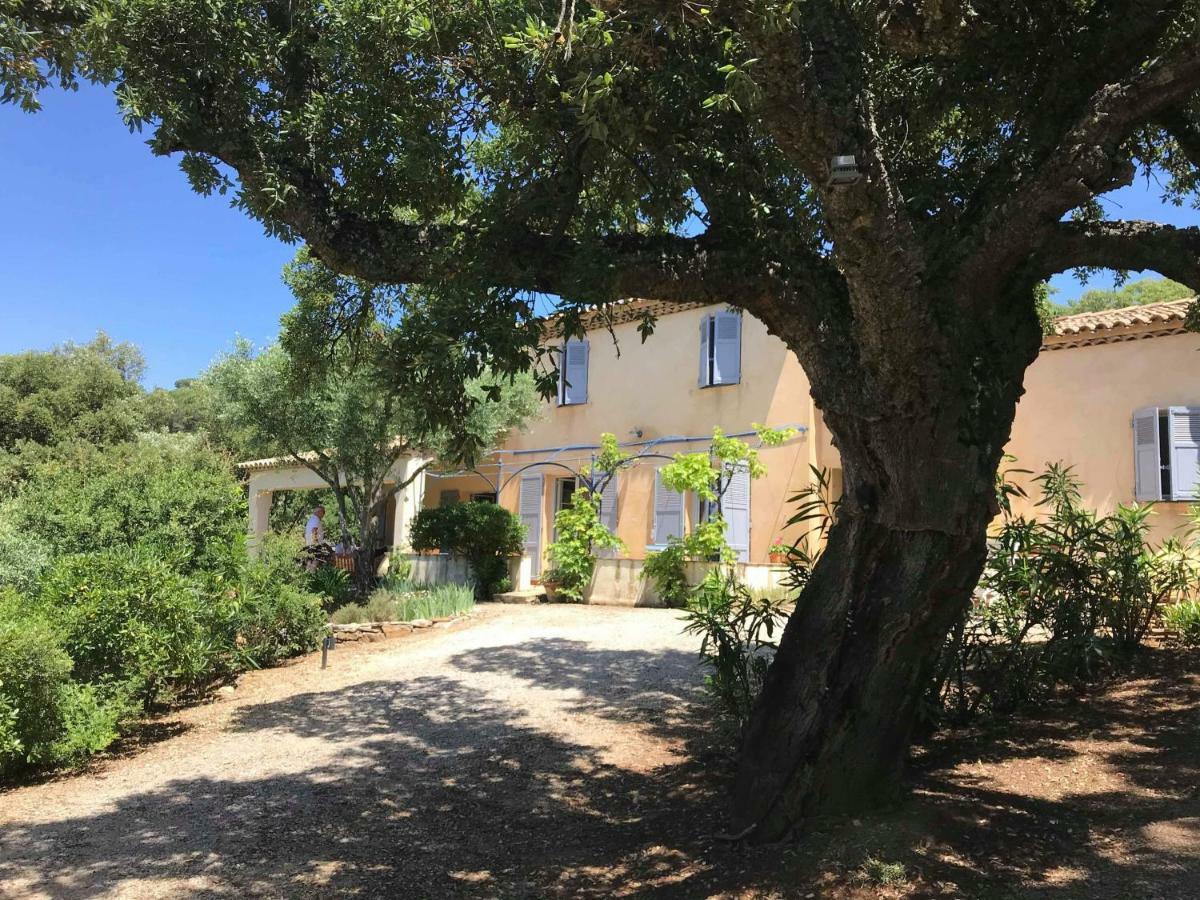 Le Mas Amore Bed & Breakfast Gassin Bagian luar foto